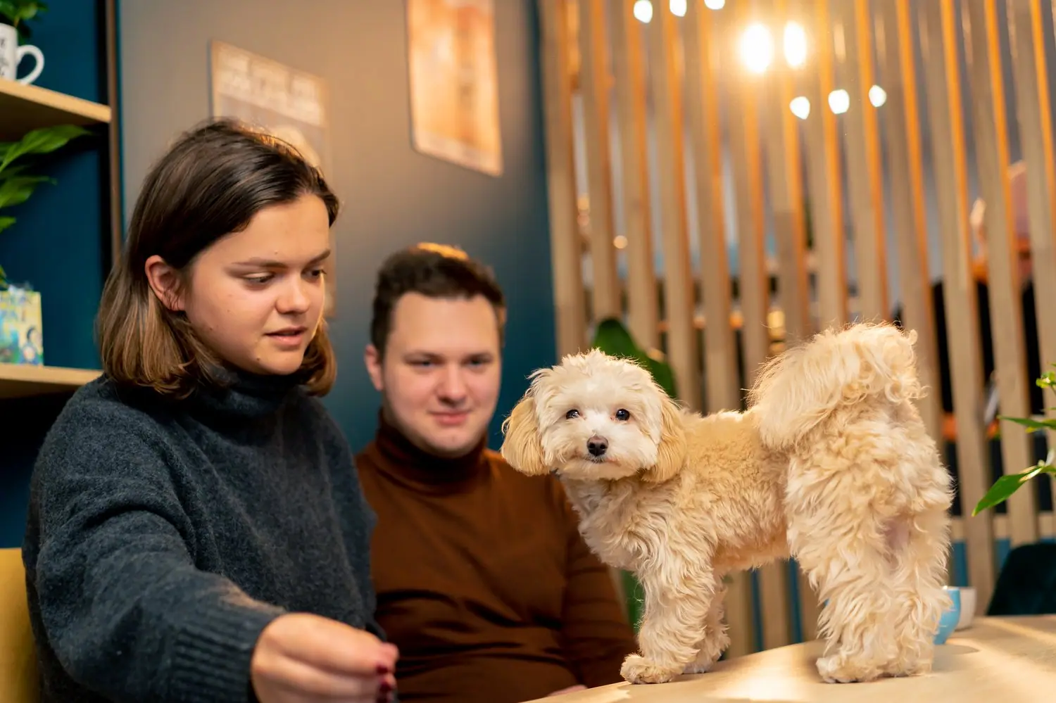 Kawiarnie przyjazne zwierzętom: gdzie na kawę z pupilem