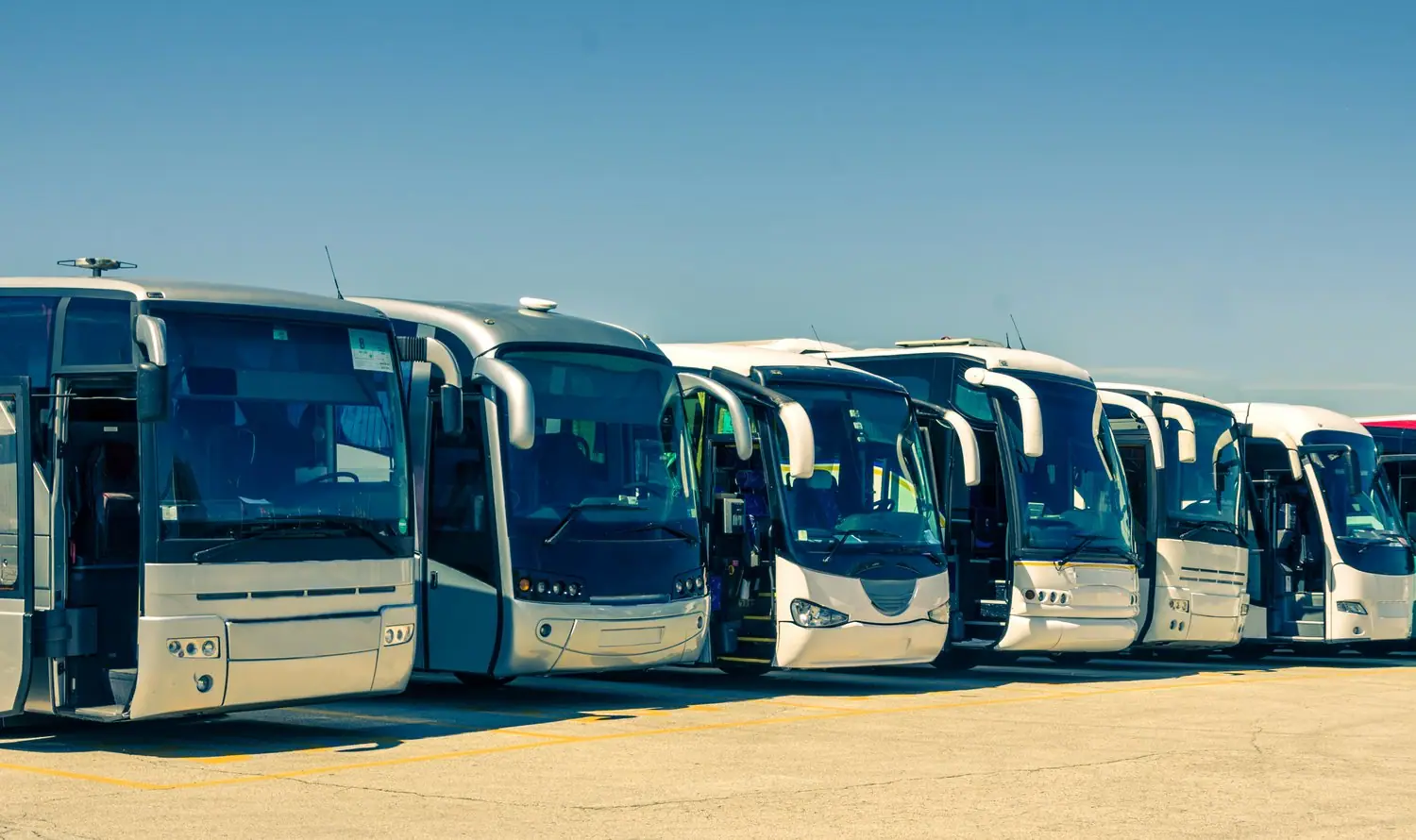 Jak zorganizować bezpieczny transport grupowy dla szkoły i firmy